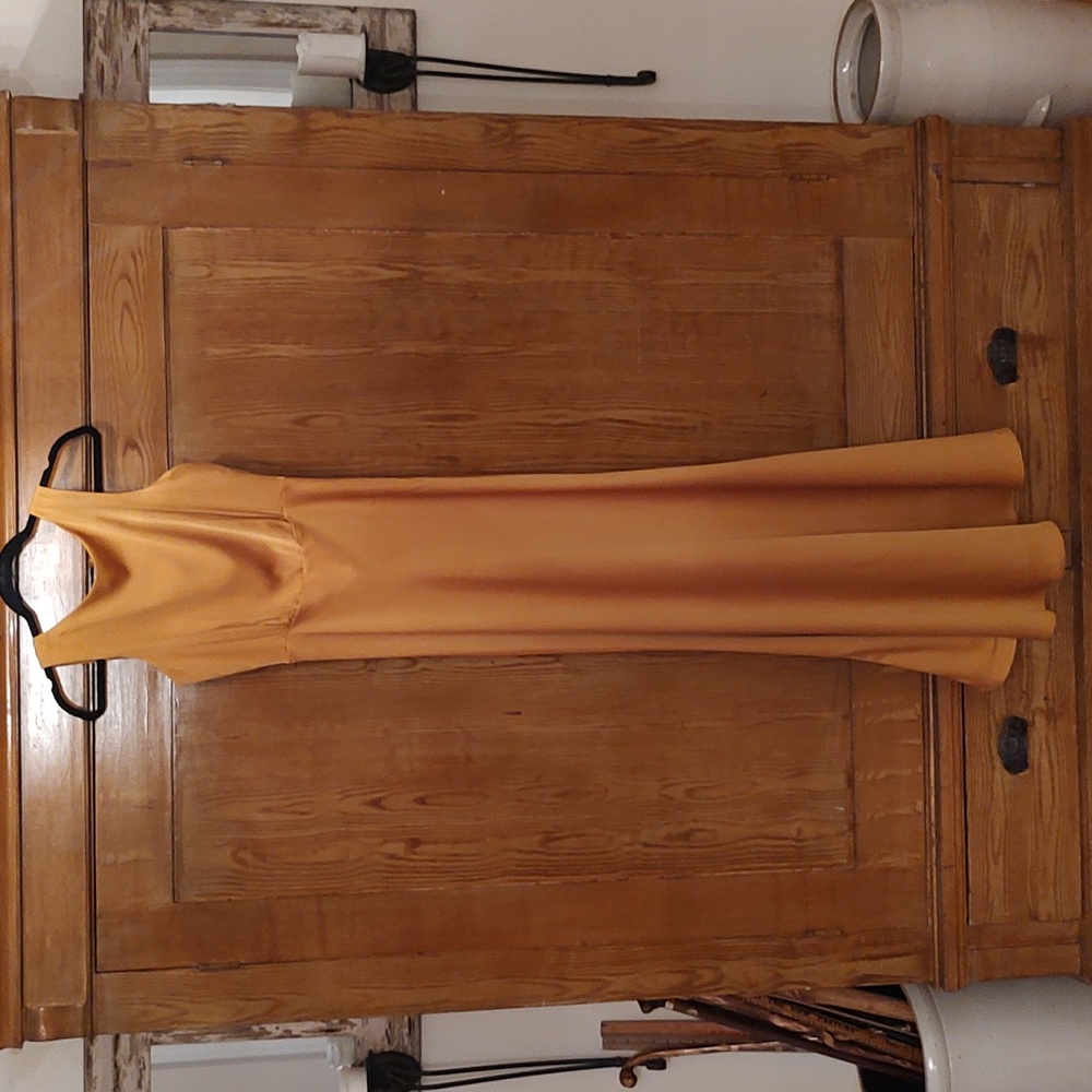 Taylor Gold Evening Gown